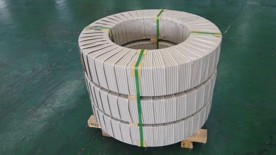 Hoja de metal de acero inoxidable de la resistencia térmica de la tira ASTM del horno de SUS309S 2B